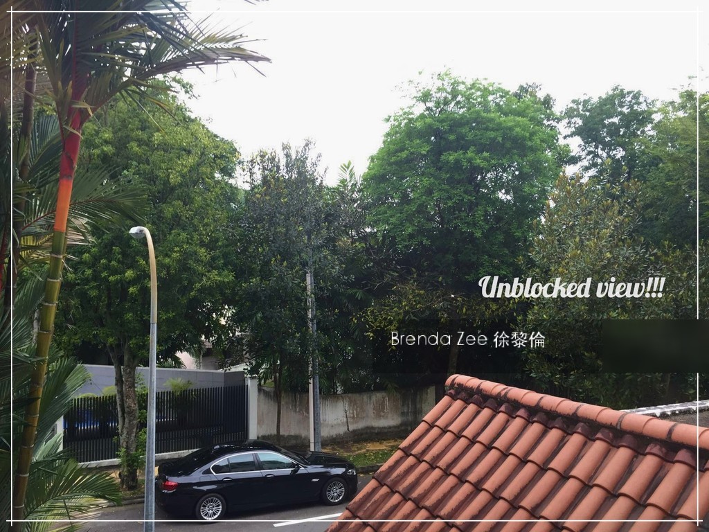 Jalan Kebaya (D10), Semi-Detached #134685882